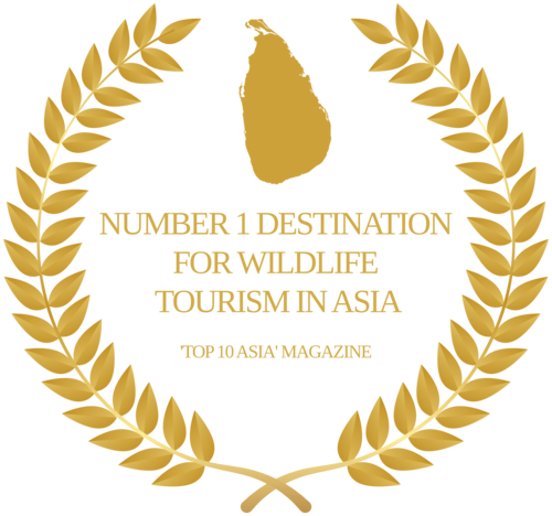 bestTourismBoard (7)